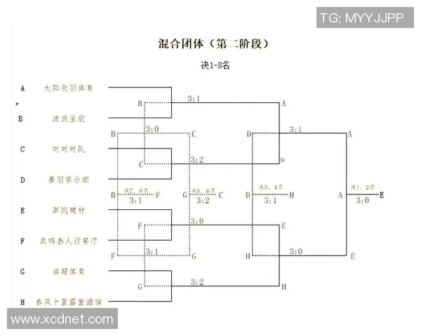 羽毛球赛事裁判判罚的公平性探讨与争议分析 羽毛球赛事裁判判罚的公平性探讨与争议分析